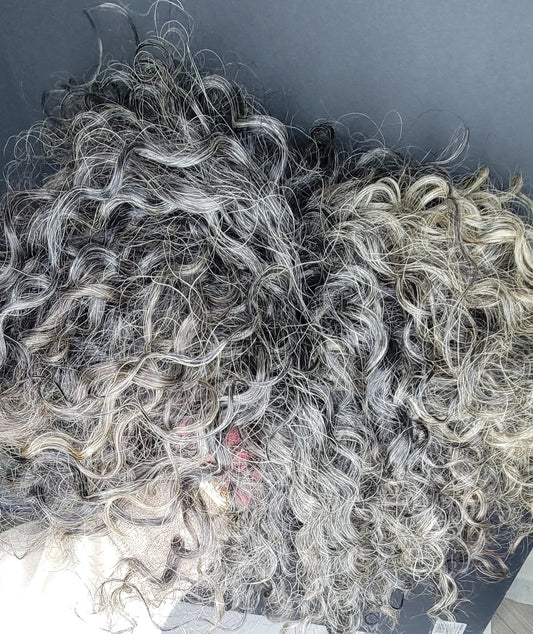 3C Loose Curly Hair Textures (Gray Hair for BLONDES)