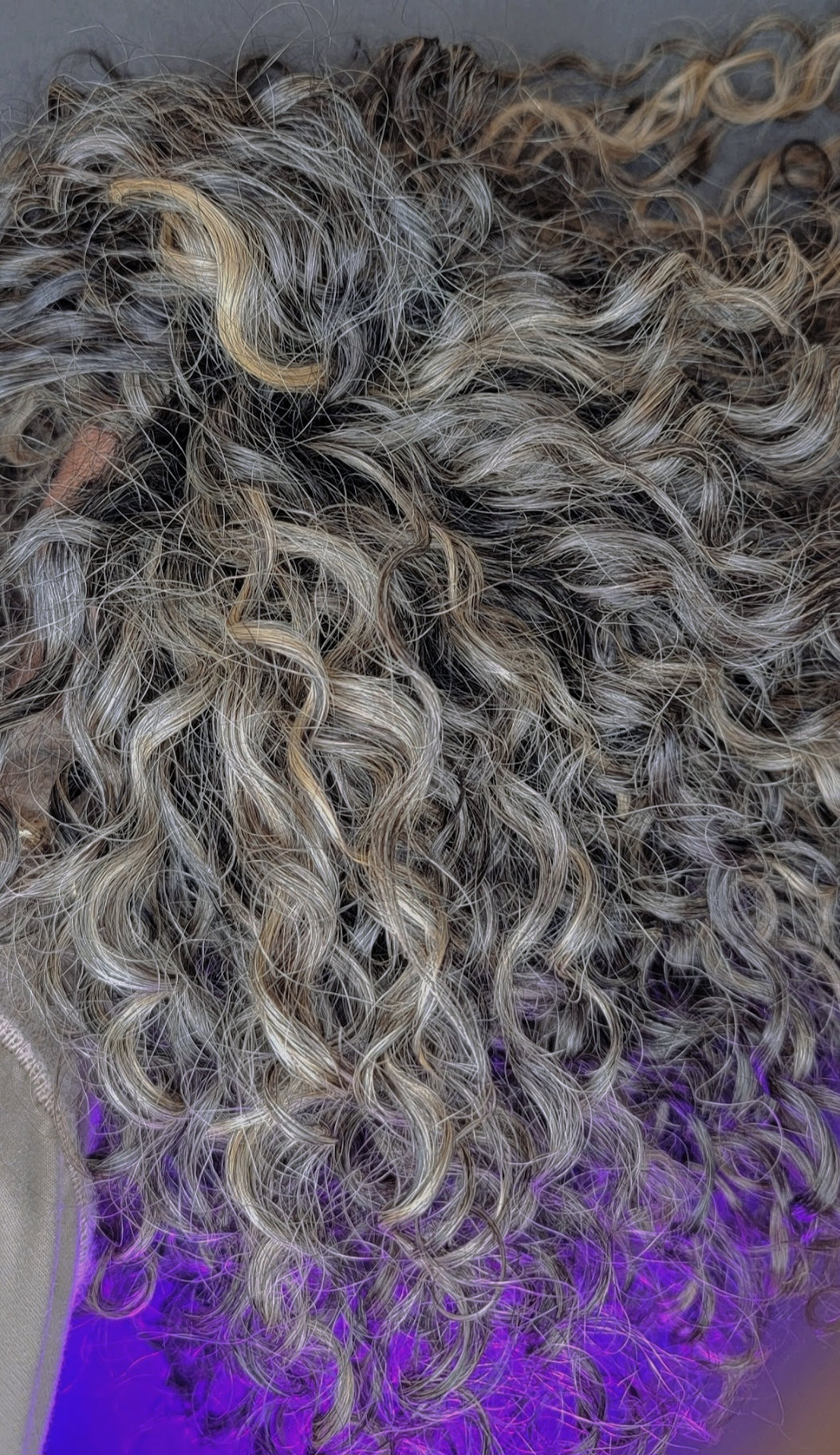 Soft Curly Gray Hair Textures (Gray Hair for BLONDES)